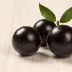 Aprendendo com um pé de jabuticaba: uma lição para a vida